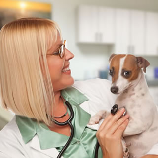 featured-industries-vet